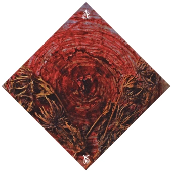 AINSOPH Affection & Vengeance [CD]